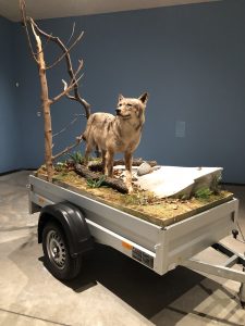 Mark Dion ”Mobile Wilderness Unit – Wolf” 2006 fra udstillingen "Dyr i kunsten" på Arken Kunstmuseum.